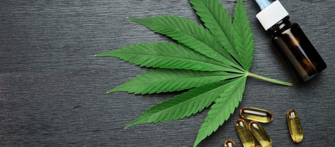 canabidiol tratamento